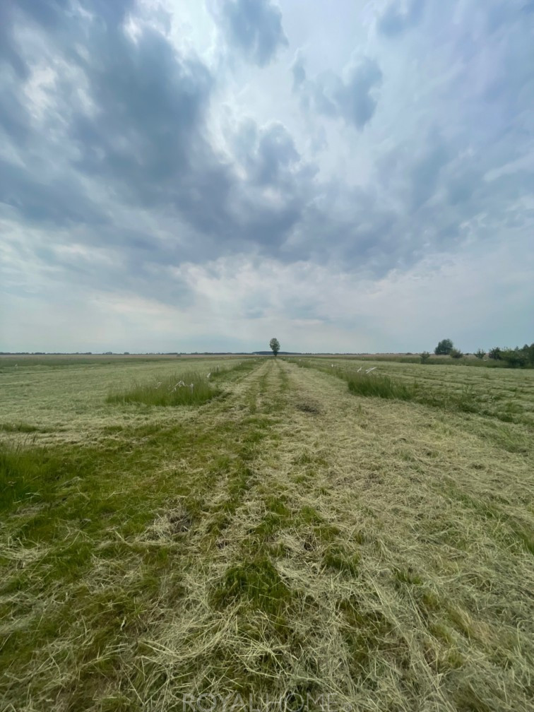Działka Sprzedaż Wierzbno