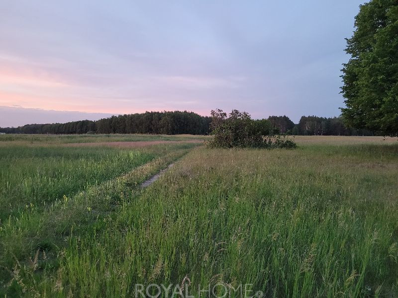 Działka Sprzedaż Lubczyna