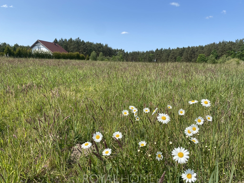 Działka Sprzedaż Przybiernów