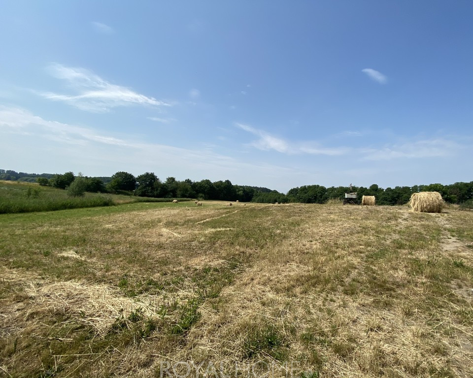 Działka Sprzedaż Glinna