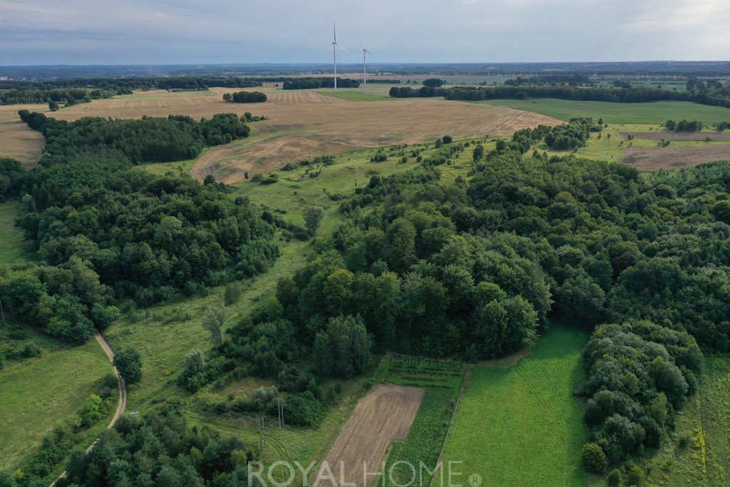 Działka Sprzedaż Prusinowo