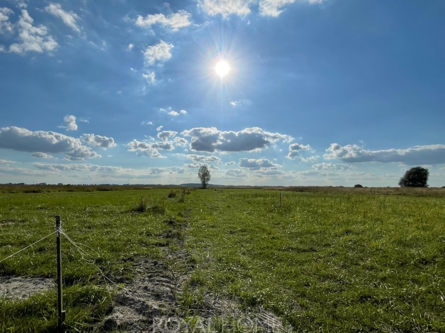 Działka Sprzedaż Wierzbno