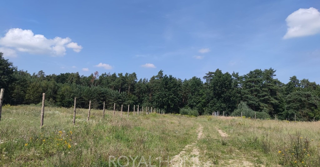 Działka Sprzedaż Kościno