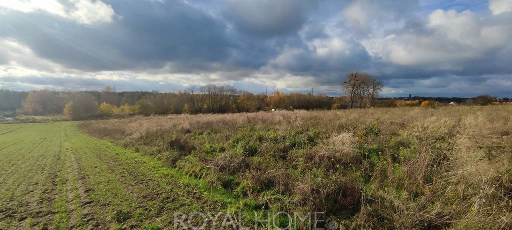 Działka Sprzedaż Goleniów