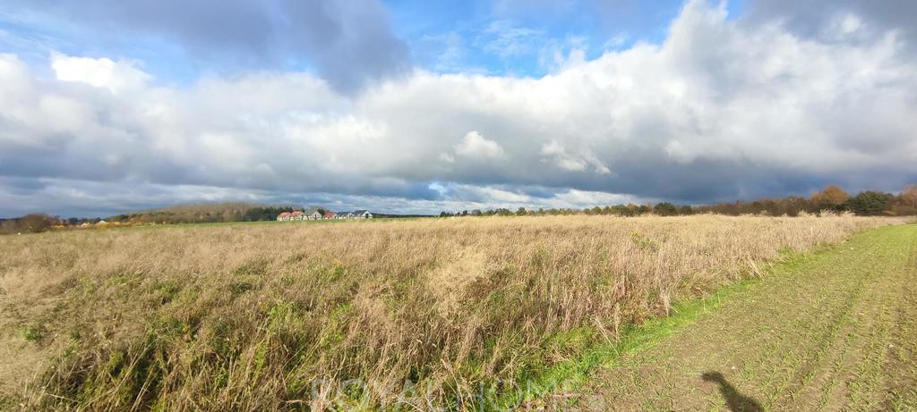 Działka Sprzedaż Goleniów