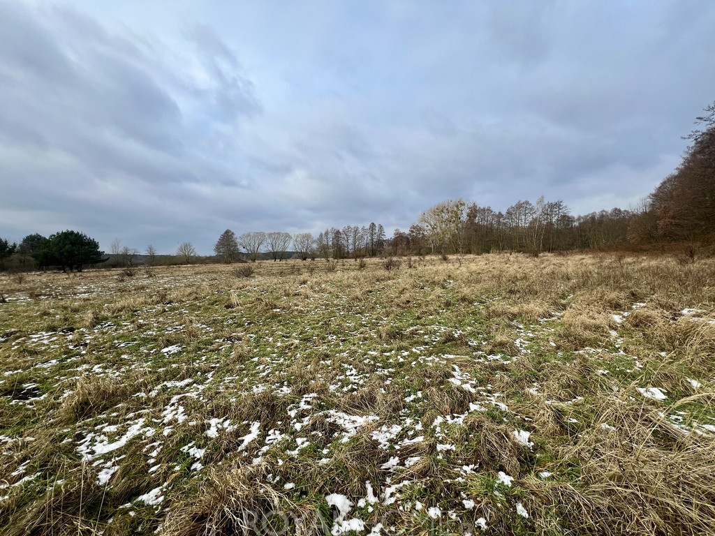 Działka Sprzedaż Brzózki
