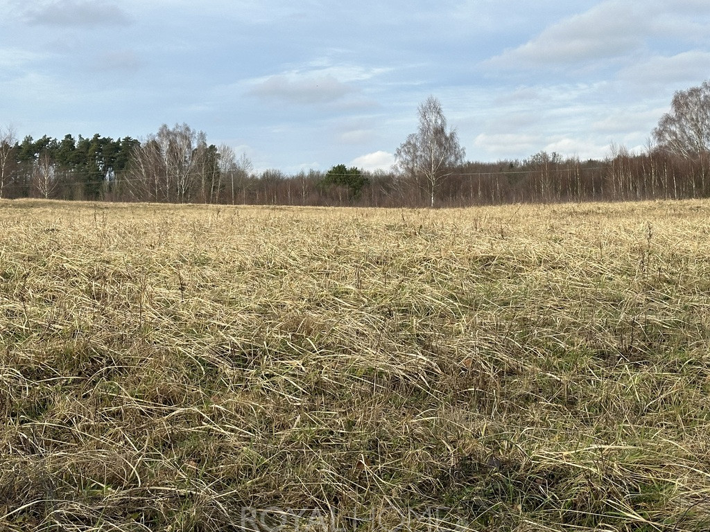 Działka Sprzedaż Storkowo