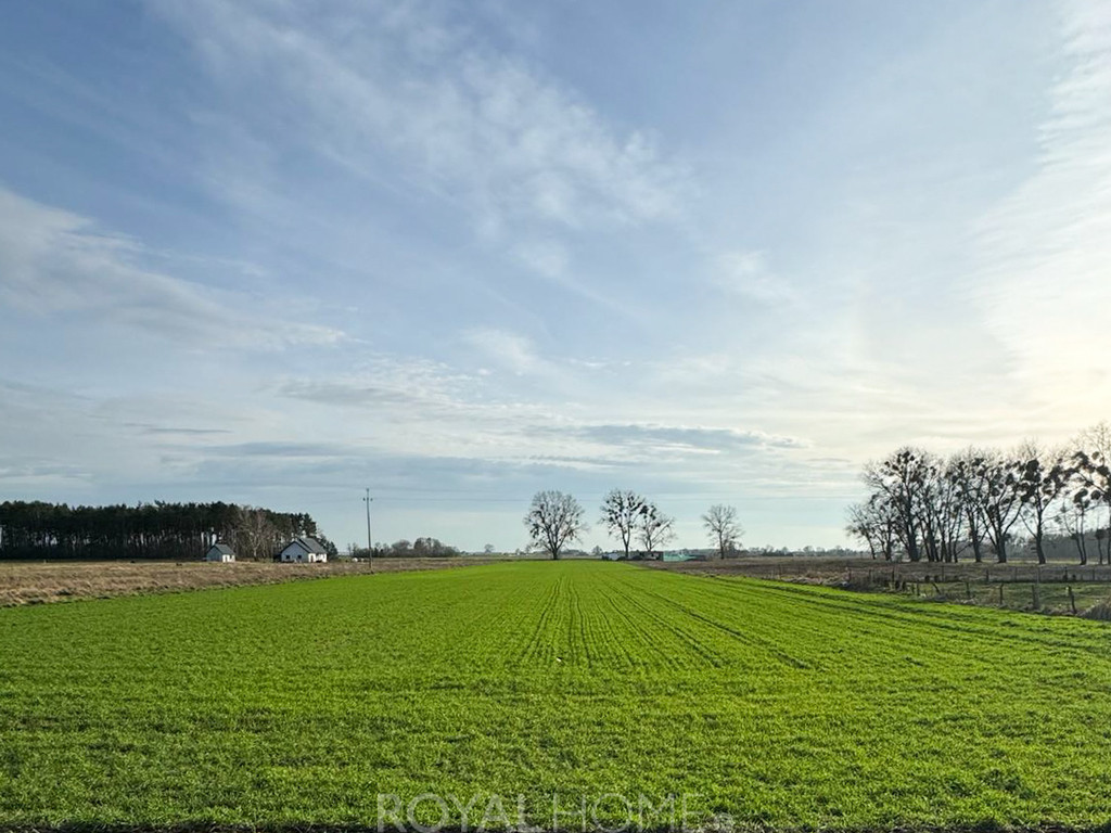 Działka Sprzedaż Borzysławiec