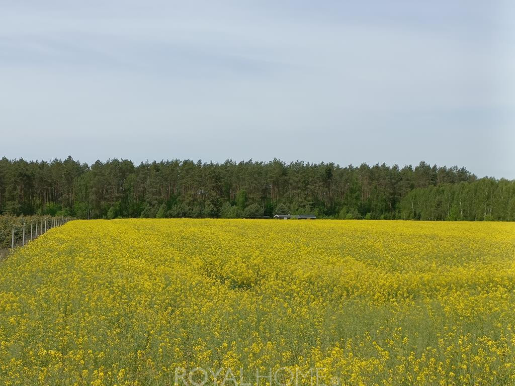 Działka Sprzedaż Stawno