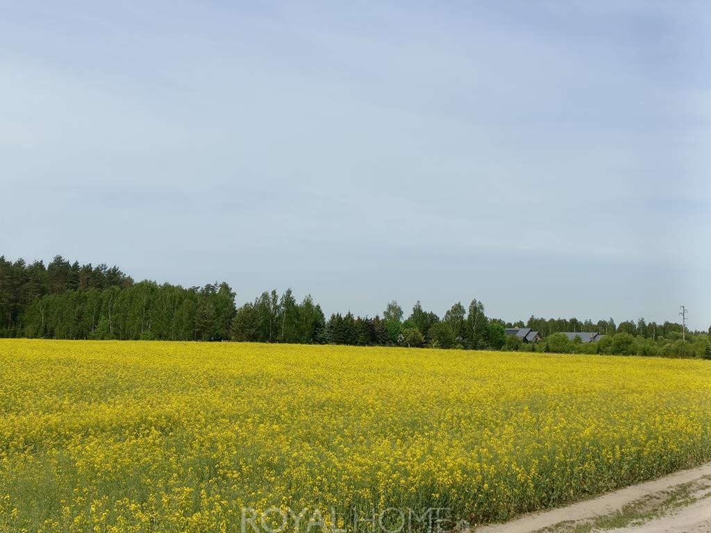 Działka Sprzedaż Stawno