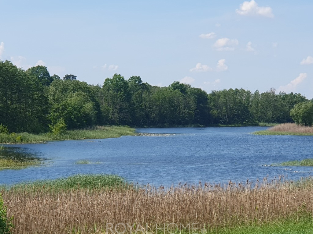 Działka Sprzedaż Zieleniewo