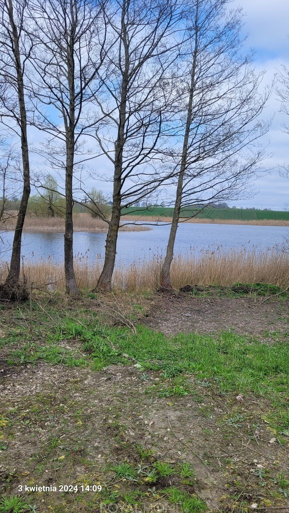 Działka Sprzedaż Zieleniewo