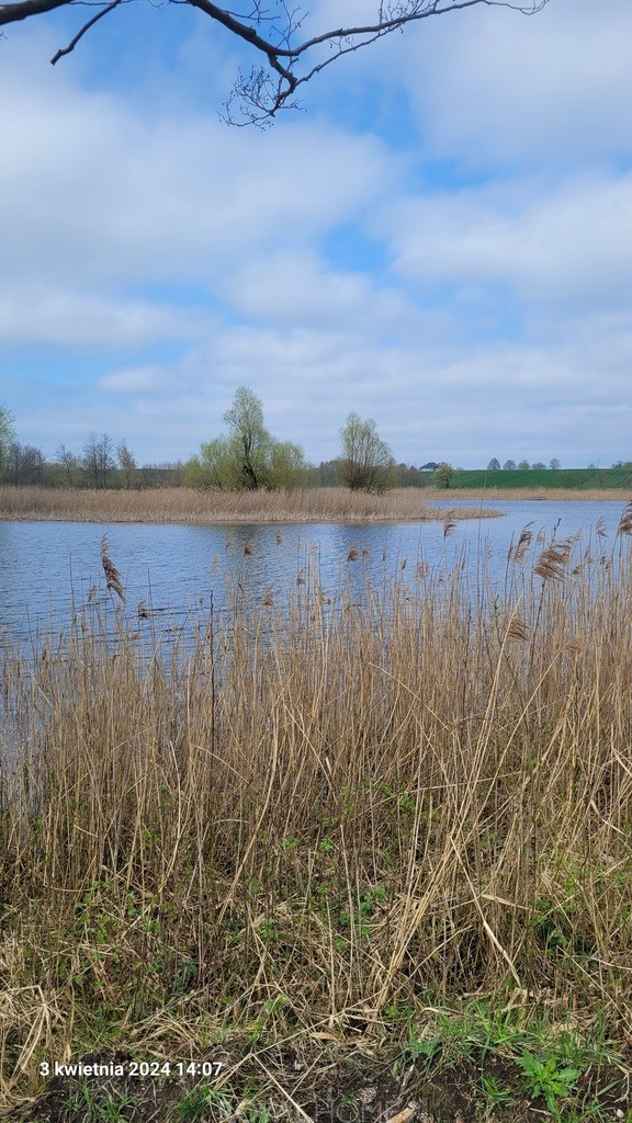 Działka Sprzedaż Zieleniewo