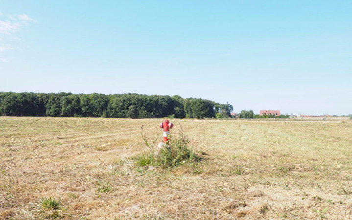 Działka Sprzedaż Śliwin