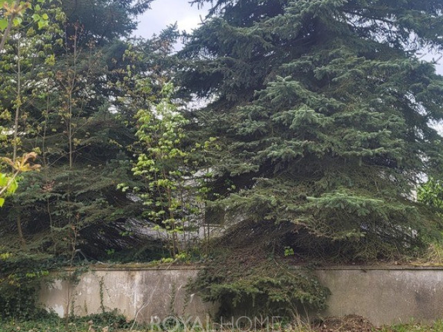 Działka Sprzedaż Recz Kolejowa