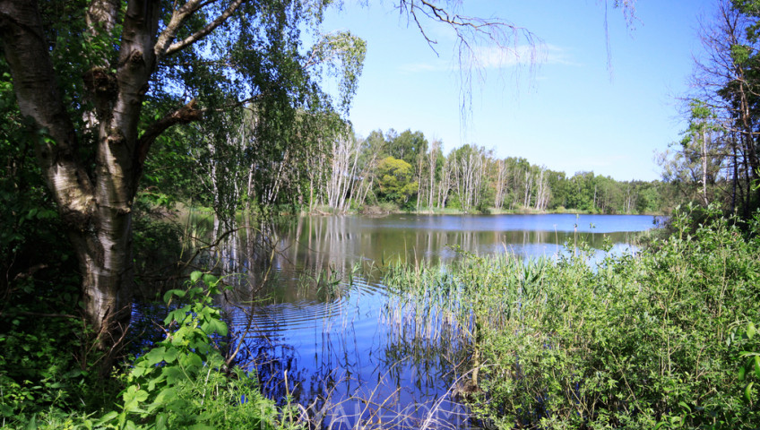 Działka Sprzedaż Bartoszewo