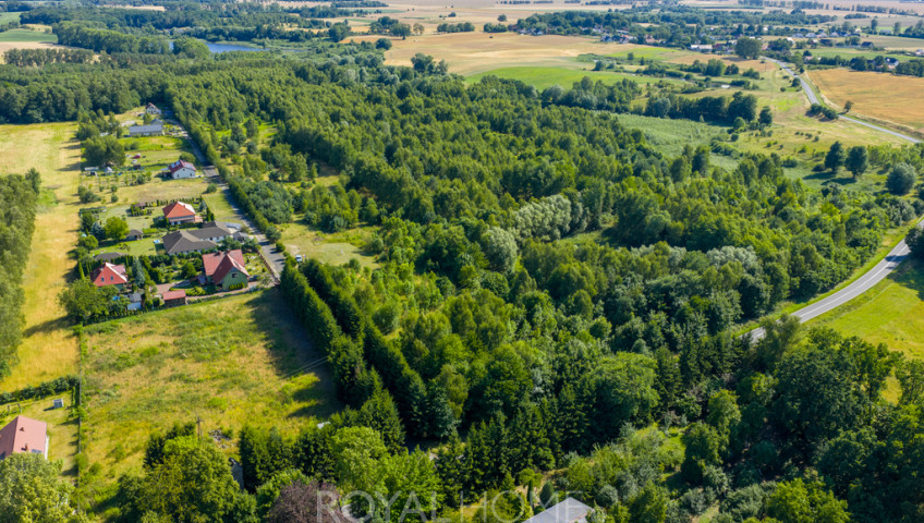 Działka Sprzedaż Grabowo