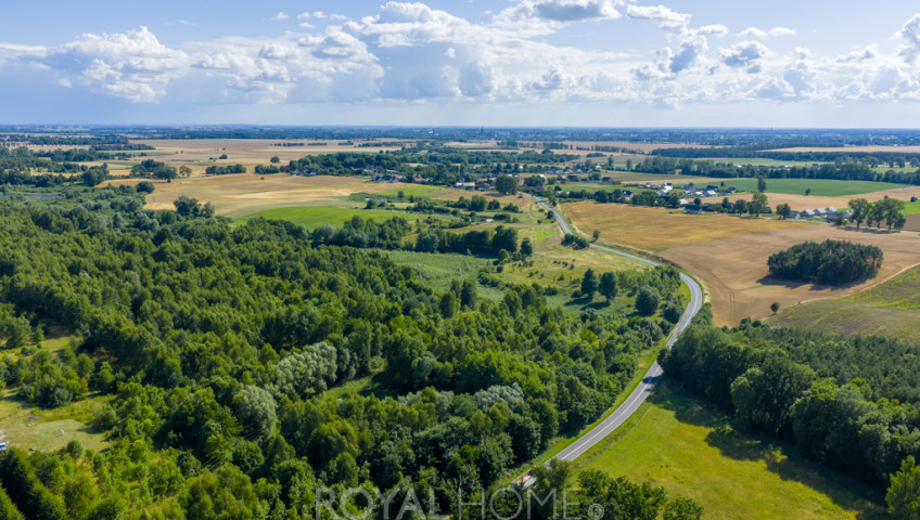 Działka Sprzedaż Grabowo