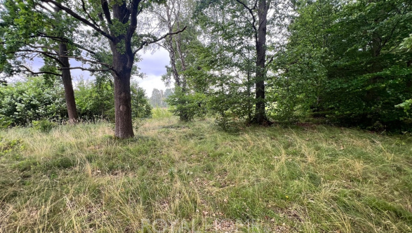 Działka Sprzedaż Storkowo