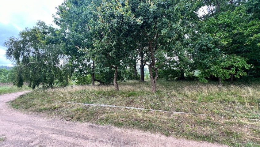 Działka Sprzedaż Storkowo