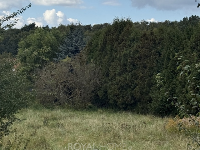Działka Sprzedaż Szczecin Pilchowo