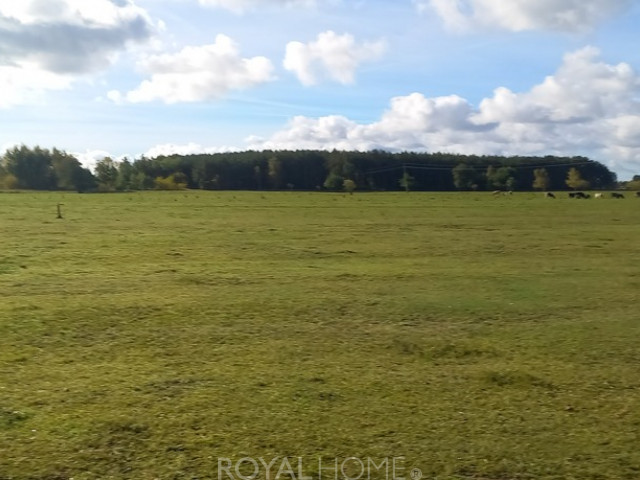 Działka Sprzedaż Borzysławiec