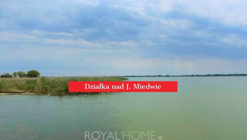 Działka Sprzedaż Wierzbno