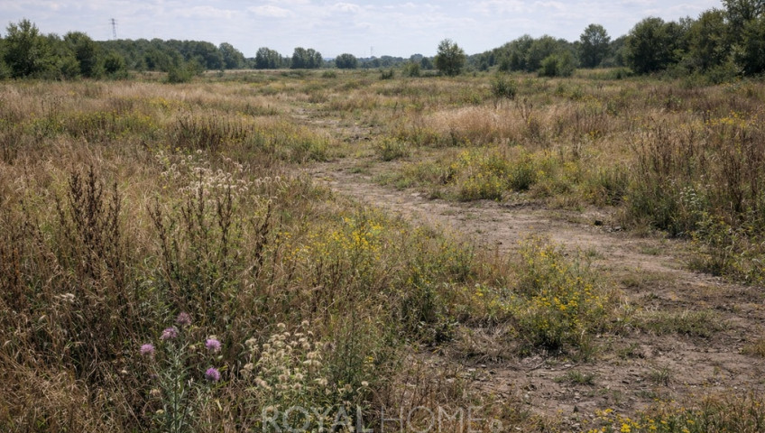 Działka Sprzedaż Imno