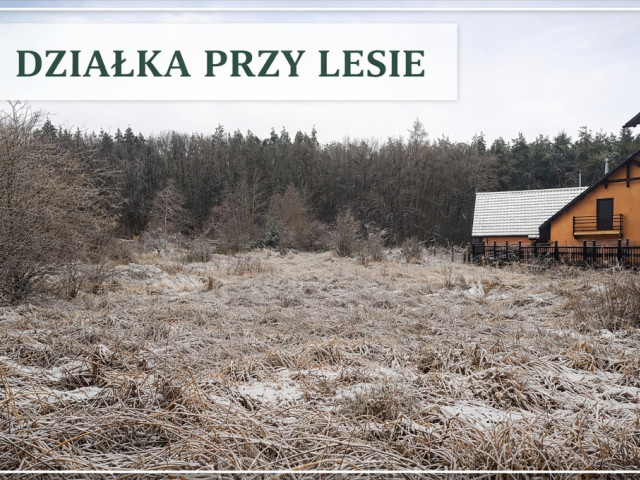 Działka Sprzedaż Pilchowo