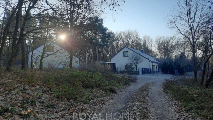 Działka Sprzedaż Czepino
