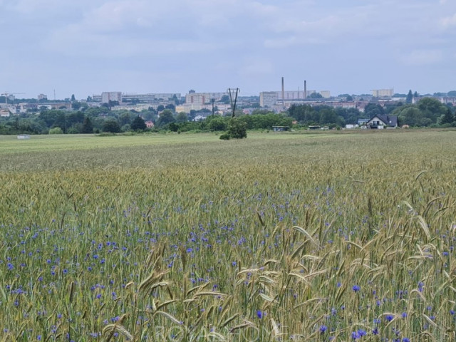 Działka Sprzedaż Stargard