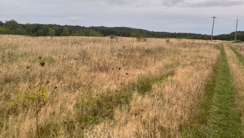Działka Sprzedaż Storkowo