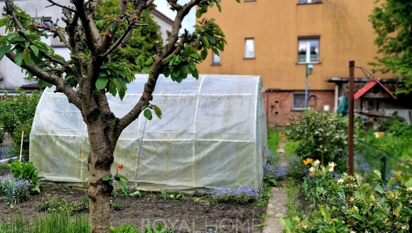Mieszkanie Sprzedaż Goleniów Marii Dąbrowskiej