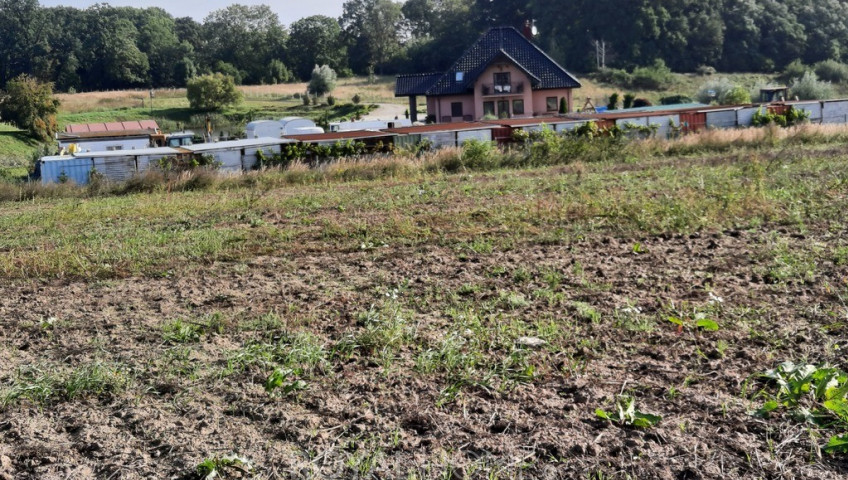 Działka Sprzedaż Kurów Na Klifie