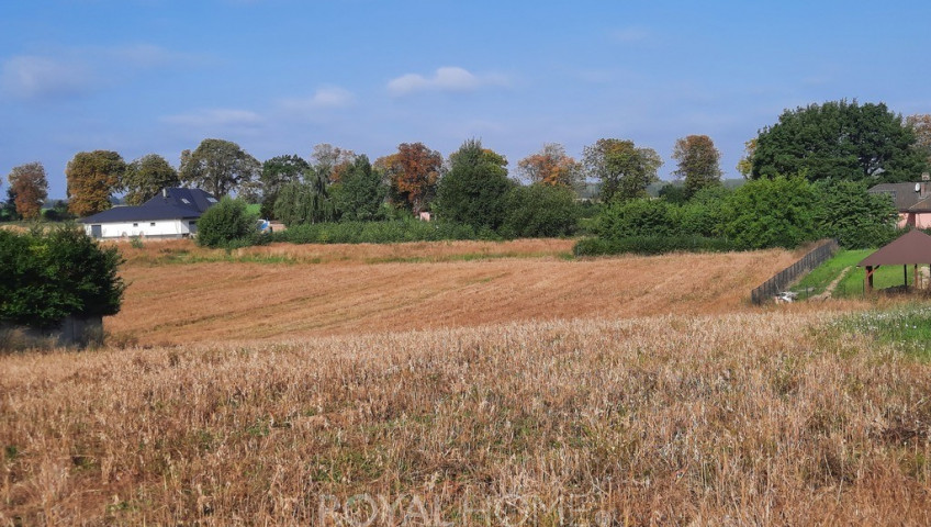 Działka Sprzedaż Kurów Na Klifie