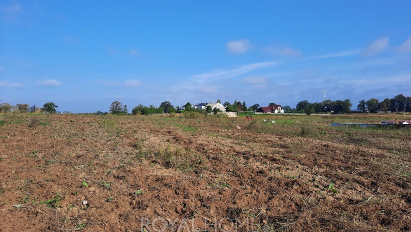 Działka Sprzedaż Kurów Na Klifie
