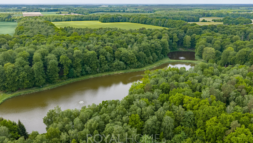 Działka Sprzedaż Wisławie