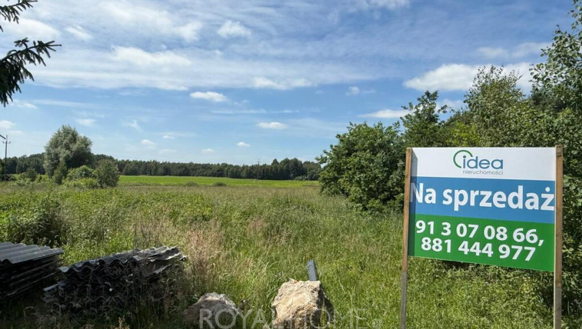 Działka Sprzedaż Krasnołęka