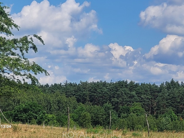 Działka Sprzedaż Wiśniewo