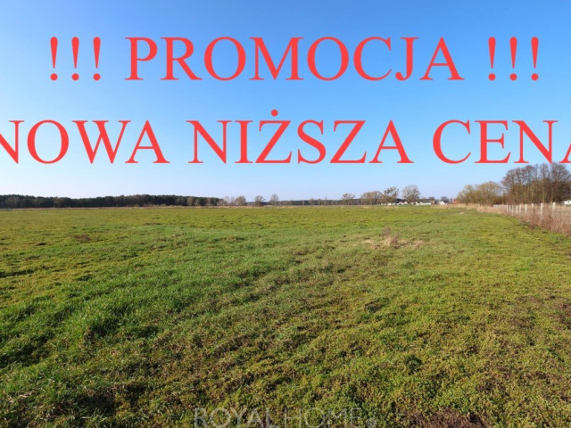 Działka Sprzedaż Lubczyna