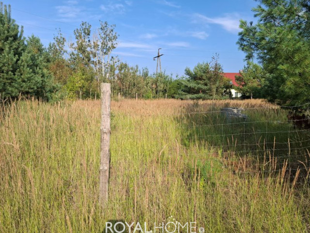 Działka Sprzedaż Łęgi