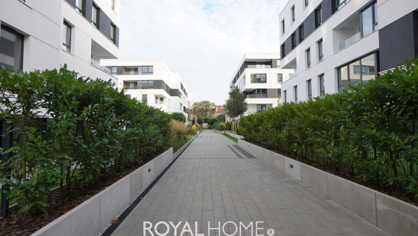 Mieszkanie Wynajem Szczecin Jasne Błonia Jerzego Janosika