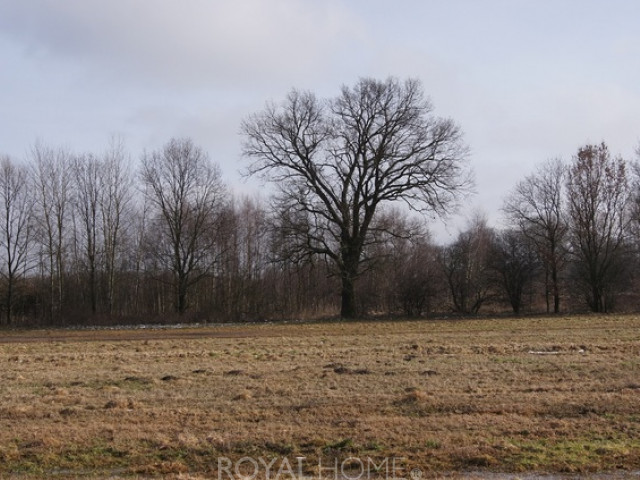 Działka Sprzedaż Jarzębowo