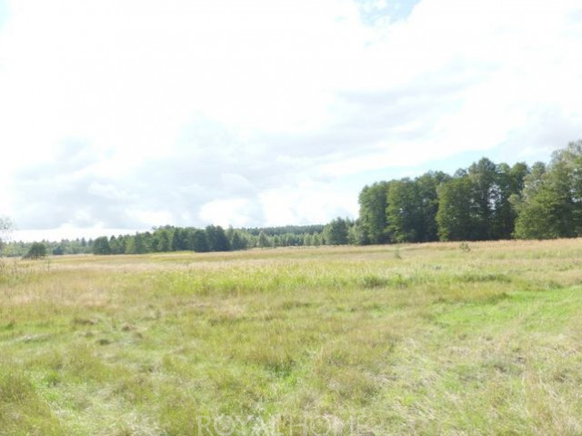 Działka Sprzedaż Grzepnica
