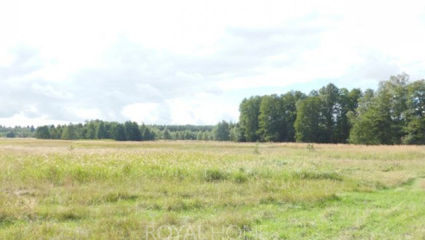 Działka Sprzedaż Grzepnica