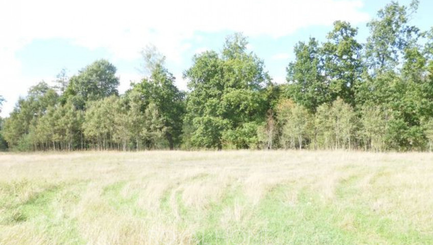 Działka Sprzedaż Grzepnica