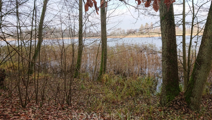 Działka Sprzedaż Starzyce