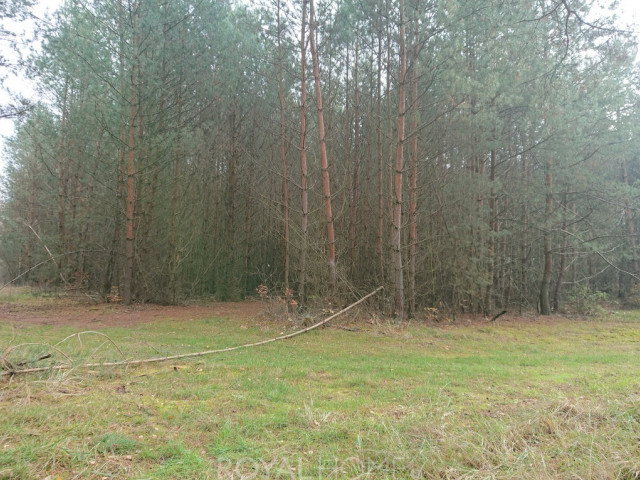 Działka Sprzedaż Starzyce