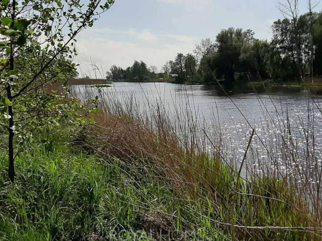 Działka Sprzedaż Mrzeżyno