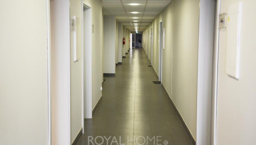 Lokal Wynajem Szczecin Śródmieście